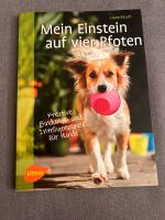 Liane Rauch - Mein Einstein auf vier Pfoten | Buch | Hundespiele Schleswig-Holstein - Bordesholm Vorschau
