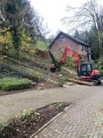 Baumfällung, Wurzel entfernen, Baumfäller, Baum entfernen Nordrhein-Westfalen - Krefeld Vorschau