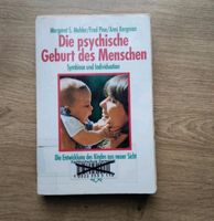 Die psychische Geburt des Menschen Hessen - Rauschenberg Vorschau