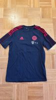 FC Bayern München Matchworn T-Shirt Trainingsshirt Adidas FCB Bayern - Remlingen Vorschau