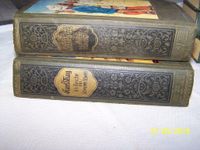 9 Bücher Karl May, sehr alt, antik, gebraucht,  9 Liebhaberstücke Elberfeld - Elberfeld-West Vorschau
