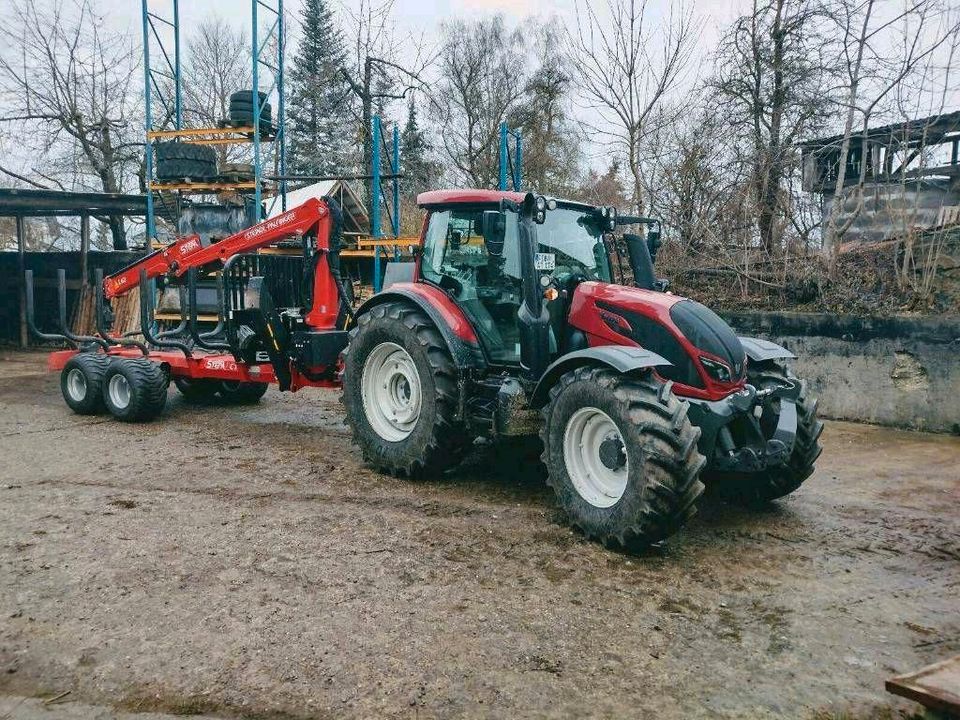 Holzrücken Käferholz Baum fällen Transport Forstarbeiten in Moorenweis