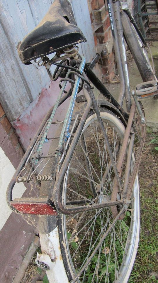 Hollandfahrrad DEKO Kneipenrad in Oderaue