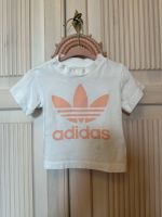 Adidas T-Shirt 74cm Berlin - Mitte Vorschau