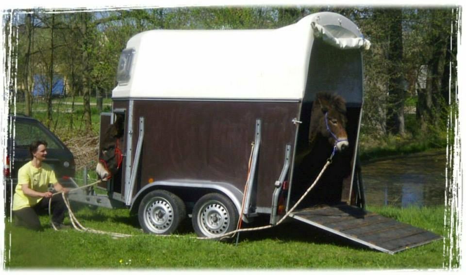 Verladetraining für Esel, Pony, Pferd, Muli ... und den Besitzer in Aschaffenburg