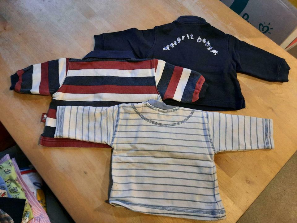 Esprit/C&A Baby Jungen Shirt Pullover blau rot gestreift Gr.62 in Dresden