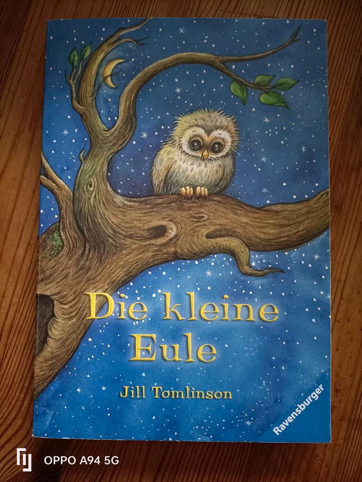 Die kleine Eule in Gustow