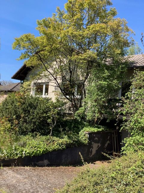 Einfamilienhaus mit parkähnlichem Grundstück in Rodenbach