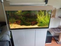 Aquarium 360 l + Unterschrank + Filter Wandsbek - Gartenstadt Vorschau