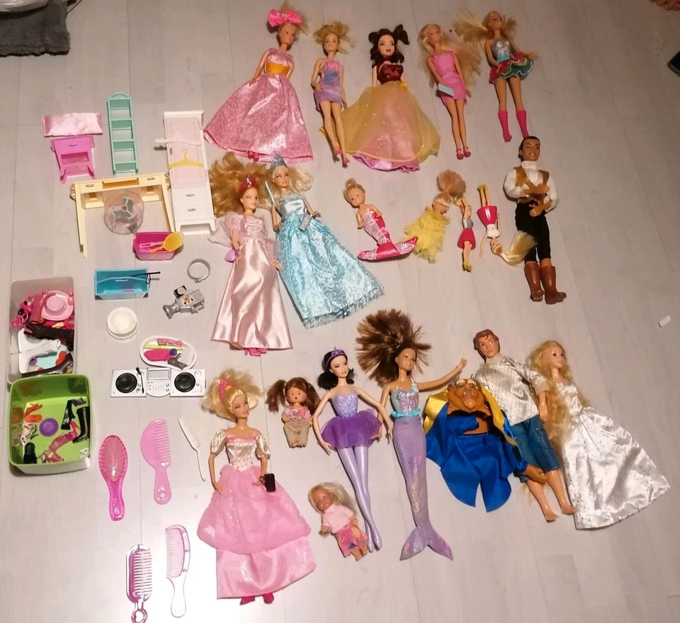 Barbie XXL Paket in Gerzen