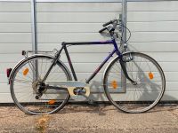 Herrenfahrrad 28 Zoll, Sportrad Pegasus Thüringen - Kölleda Vorschau