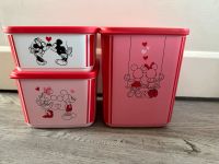 Tupperware Quadro Disney Mickey Trio Set Behälter rosa rot Nordrhein-Westfalen - Hemer Vorschau