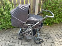 Kinderwagen Dresden - Leubnitz-Neuostra Vorschau