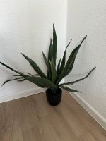 Kunstpflanze CELIUS H65cm Aloe Vera Nordrhein-Westfalen - Remscheid Vorschau