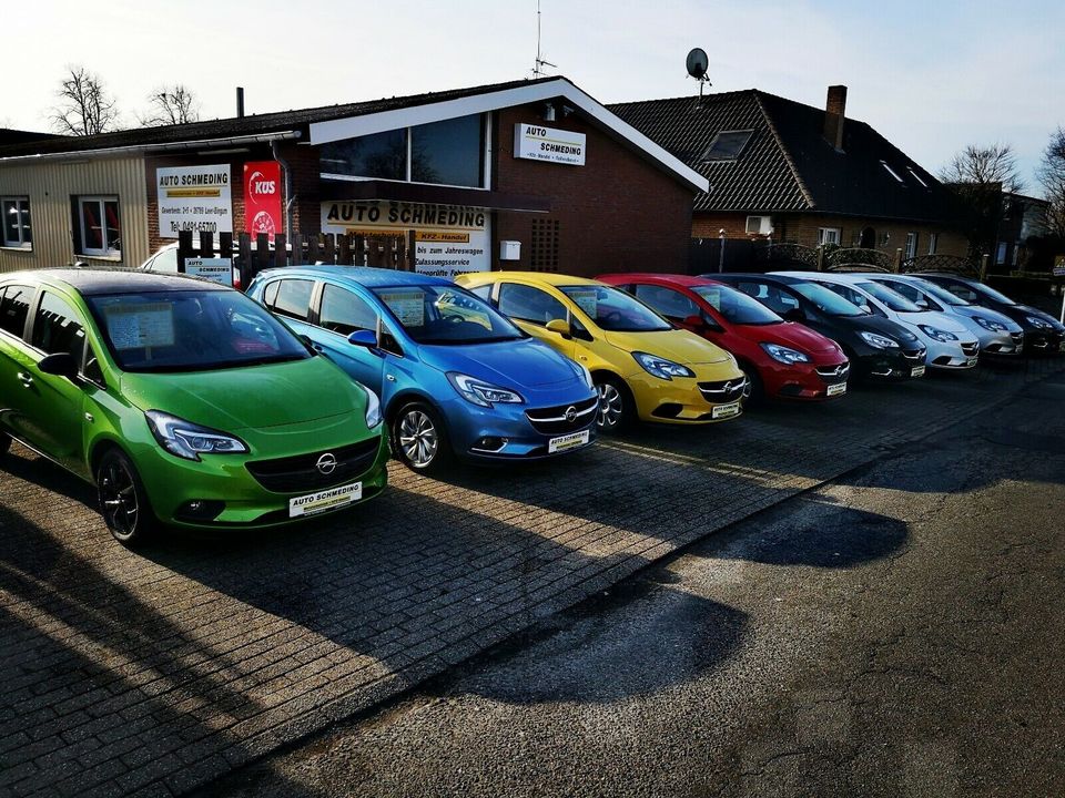 Opel Corsa F Edition Klima/PDC/Tempomat/ in Leer (Ostfriesland)