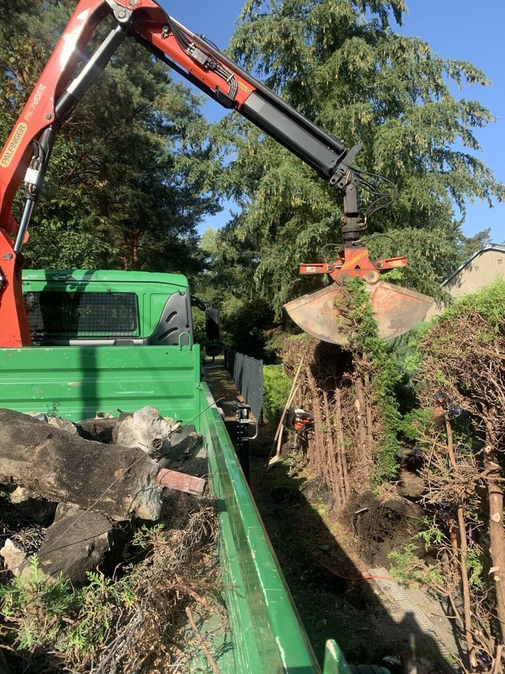 Hecke /Wurzeln entfernen/roden und entsorgen in Genthin