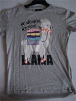 3 Shirts (2 langarm) "Lama" Gr. 158/164, neu/neuwertig (inkl. VK) Niedersachsen - Sickte Vorschau