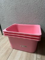 Trofast Boxen 3x rosa Thüringen - Bleicherode Vorschau