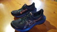Laufschuhe Asics Pulse 14 GTX Damen Gr. 39,5 Baden-Württemberg - Ortenberg Vorschau