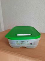 Tupperware Klima Oase 1,8 l Brandenburg - Mühlenbeck Vorschau