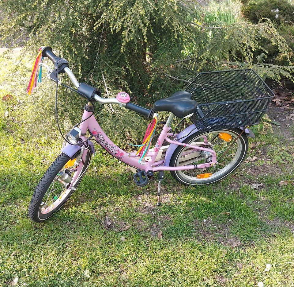 Kinderfahrrad Mädchen 18 Zoll in Eggersdorf