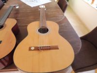 Gitarre Quintus GC-3F Nordrhein-Westfalen - Bad Salzuflen Vorschau