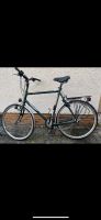 Gazelle Herren Rad Fahrrad Bike m. Licht u. Gepäckträger Nordrhein-Westfalen - Brilon Vorschau