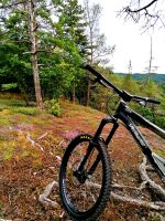 Specialized SX Trail 26 Zoll Hessen - Wildeck Vorschau