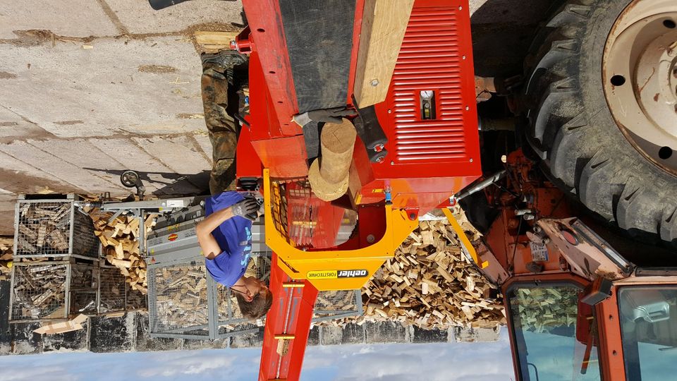 Säge Spaltautomat Oehler OL 4200 H 2021 Sägeautomat SSA Brennholz in Waltershausen