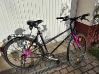 Damen Fahrrad Winora Hessen - Mücke Vorschau