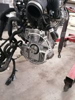 MOTOR RENAULT H5F412 1.2 TCE KOMPLETT Nordrhein-Westfalen - Ratingen Vorschau