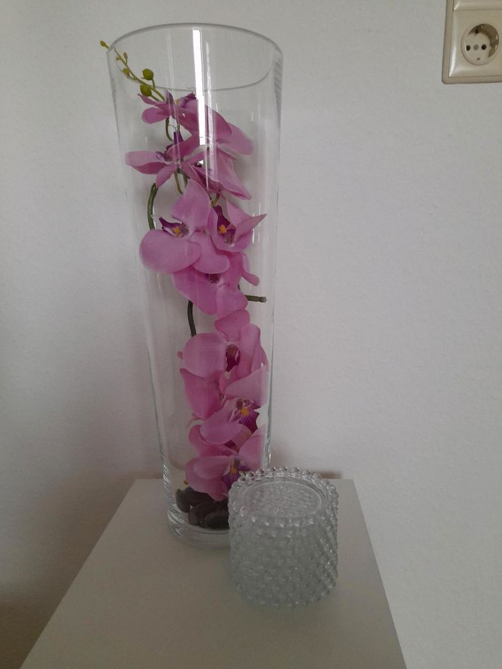 Vase mit Blume in Aschaffenburg