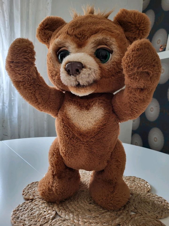 Cubby FurReal Bär Teddybär in Pfinztal