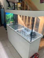 Aquarium Juwel Rio 240 + Helialux + Smart Control + CO2 Eheim Dresden - Pieschen Vorschau