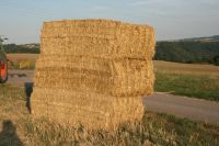 Stroh Quaderballen Baden-Württemberg - Schwäbisch Hall Vorschau