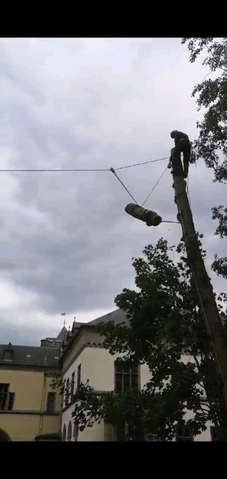 Baumfällung,  Baum fällen, Baumpflege, Totholzentfernung in Euskirchen