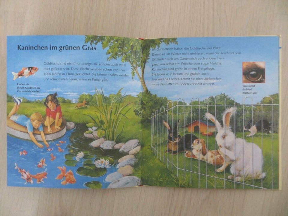 Kinderbuch:Hamster,Katze, Hund und Co in Welfesholz