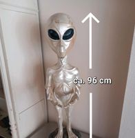 ⚠️ Alien Figur Dekoration Sammeln ⚠️ Brandenburg - Rheinsberg Vorschau