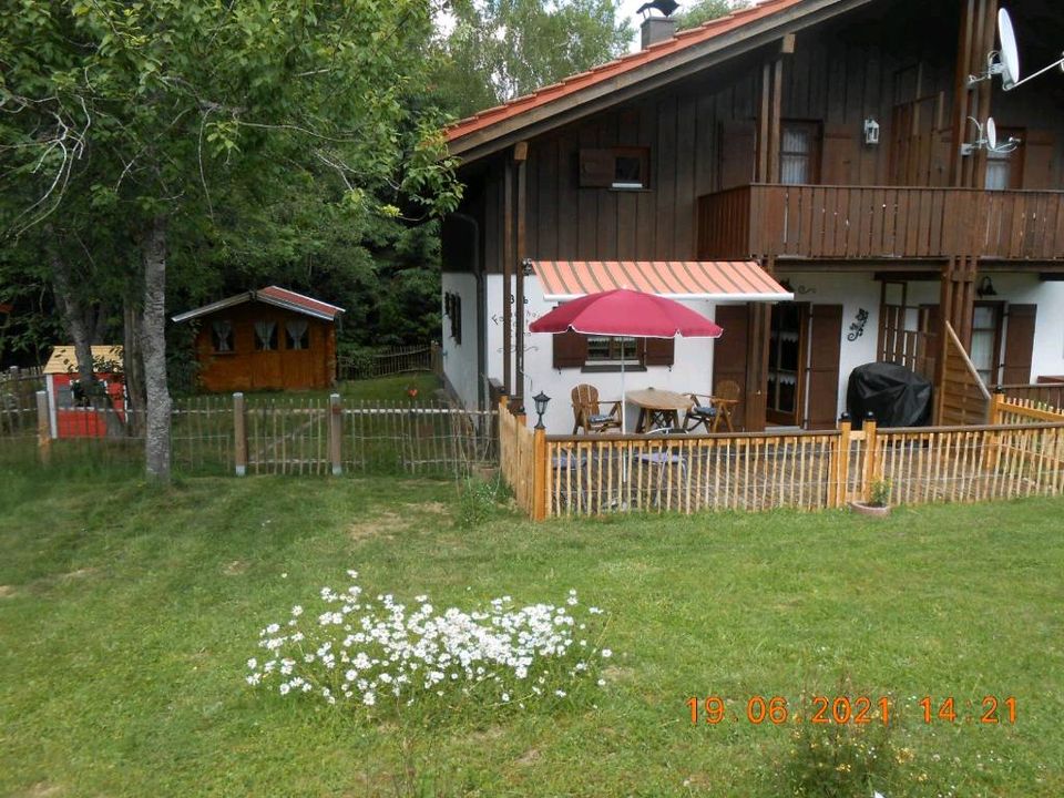 Schönes Ferienhaus in Regen/Bayerischer Wald, Haustiere erlaubt in Regen