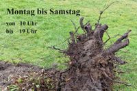 Stubbenentfernung + Baumstumpf-Entfernung zum Festpreis Niedersachsen - Thedinghausen Vorschau