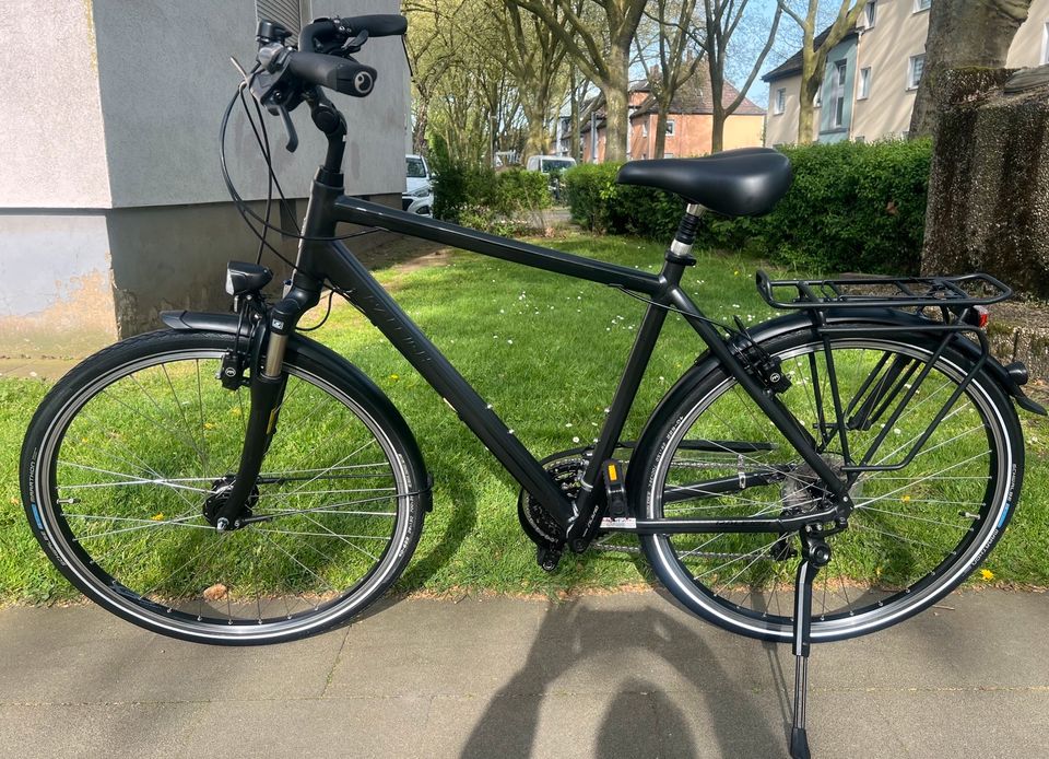 Herrenfahrrad RALEIGH 28 Zoll Rahmenhöhe 55 Top Zustand in Duisburg