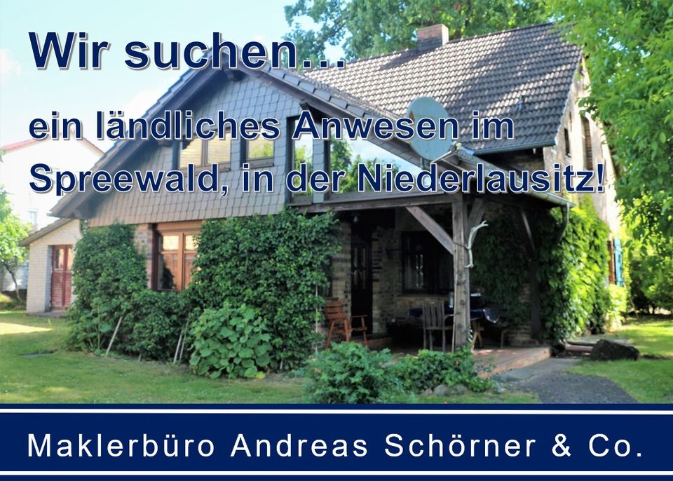 Einfamilienhaus gesucht in Lübben, Lübbenau, Luckau, Calau o. Vetschau! in Calau