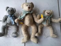 3 Sunkid Teddybären Rheinland-Pfalz - Ober-Flörsheim Vorschau