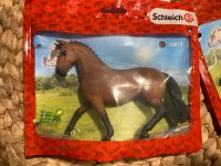 Schleich Horse Club Pferd 13817 originalverpackt Bayern - Kaufbeuren Vorschau
