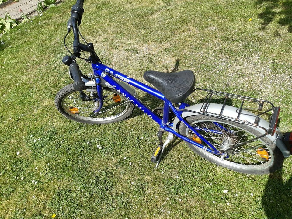 blaues Kinder Fahrrad (20 Zoll) in Müllrose