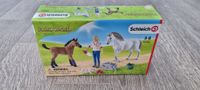 Schleich Farm World 42486, Arztbesuch bei Stute und Fohlen Nordrhein-Westfalen - Sassenberg Vorschau