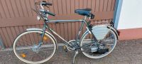 Hercules Saxonette Fahrrad mit Motor 30ccm Mofa Moped Benzin Rheinland-Pfalz - Binsfeld Vorschau