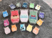 Scentsy Set Rheinland-Pfalz - Worms Vorschau