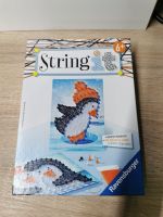 String It Pinguin Niedersachsen - Aerzen Vorschau