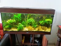 Juwel Aquarium 180l mit Unterschrank Mitte - Tiergarten Vorschau